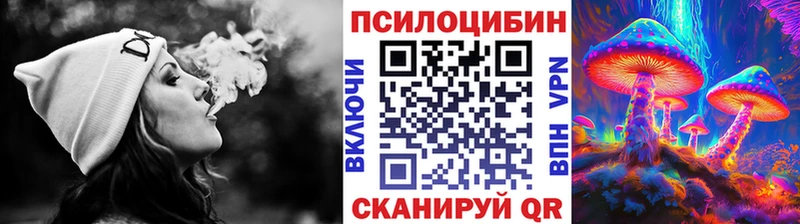 где продают   Шумиха  Галлюциногенные грибы Psilocybine cubensis 
